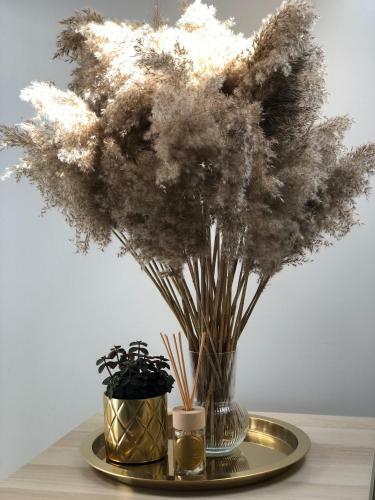 Apartamento Dream Catcher Retreat