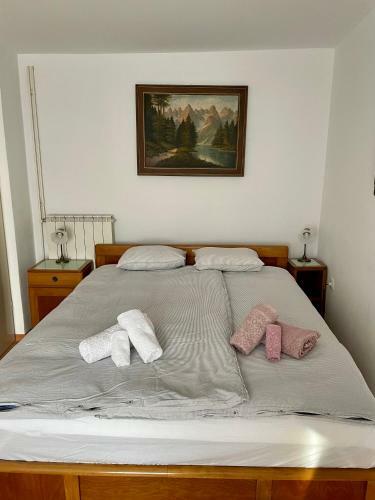 Apartma Pri So?i