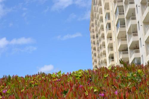 Apartamento Departamento Laguna Bah�a