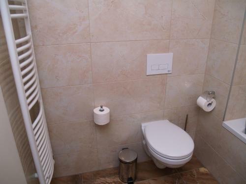 Elegant Apartment Mileti?ova