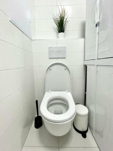 Apartamento Topbeer - Stein