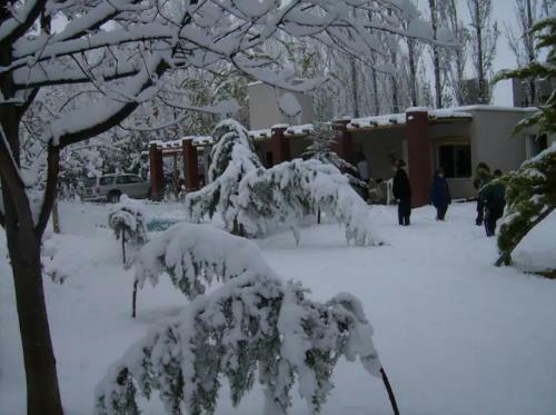 Lodge Caba�as Parque Vistalba