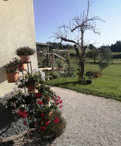 Agroturismo Marta's House