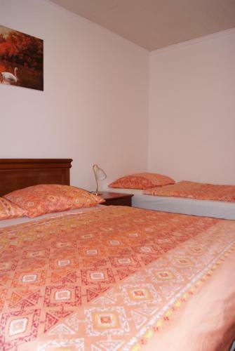 Hostal Apartmaji Pri Kokolu