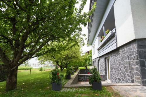Apartments Erman