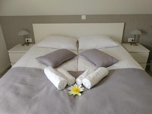 Hostal Apartments & Rooms Aleksandra
