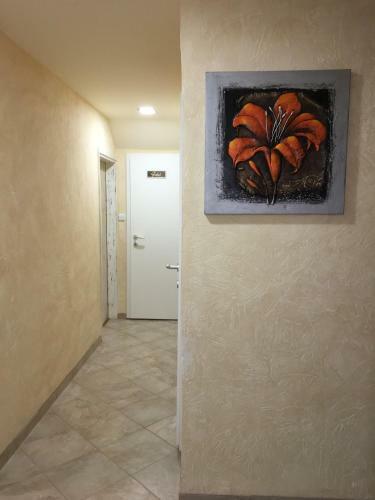 Albergue Dolar Rooms