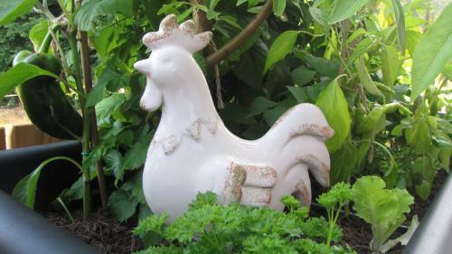 Apartamento Garden Living