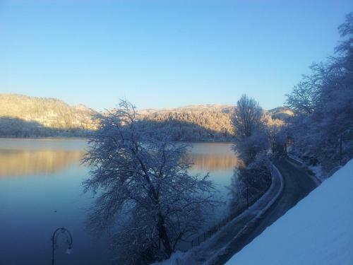 B&B Pletna A Double Lake-view Room
