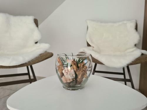 Rok Apartment