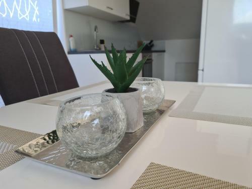 Rok Apartment