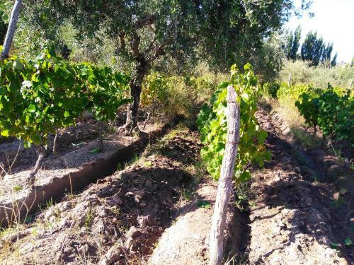 Apartamento Finca Mula