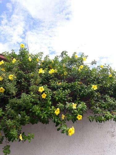 Apartamento Mobiliado - �guas de Lindoia