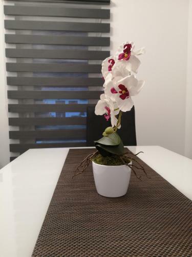 Apartamento App Mateo 6168