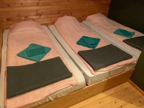 Chalet Jamnik