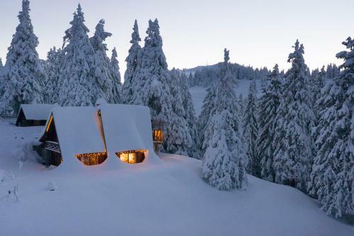 Chalet Alpinka