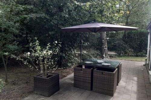 Chalet "de Hazelnoot" Te Diever