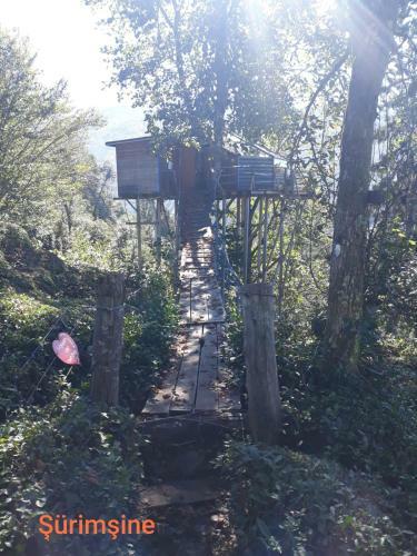 Bed & Breakfast Olimbera K�y Evi