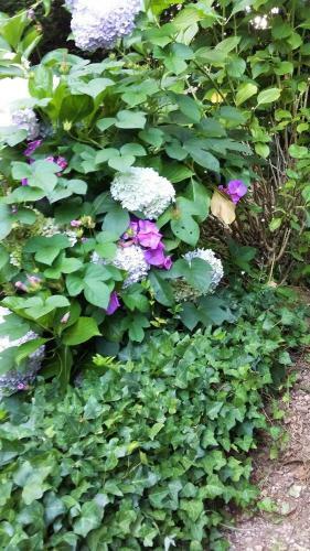 Bed & Breakfast Quinta D'av� Am�lia