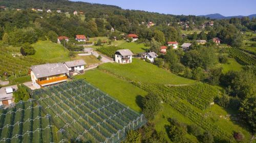 Vineyard Cottage Stepan