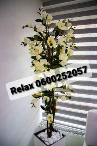 Relax Lux Apartman
