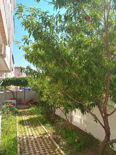 Bulut Apartment