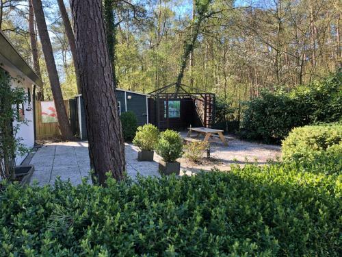 Chalet Dennenvelt