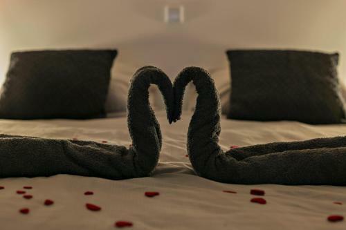 Bed & Wellness Maas En Waal