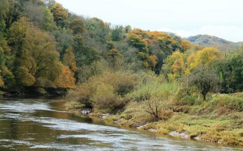 Hostal Wye Valley Hotel
