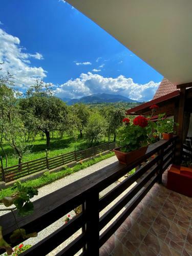 Hostal Vila Sorina