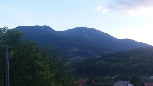 Villa Vila Puiu Borsa Mm