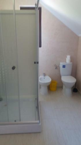 Villa Vila Puiu Borsa Mm