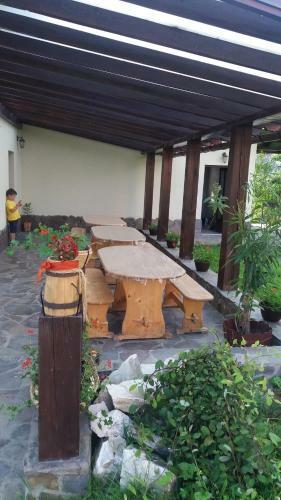 Villa Vila Puiu Borsa Mm