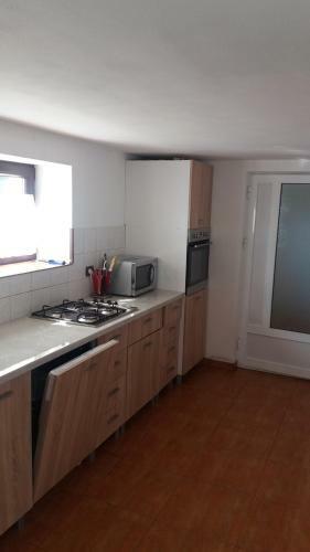Villa Vila Puiu Borsa Mm