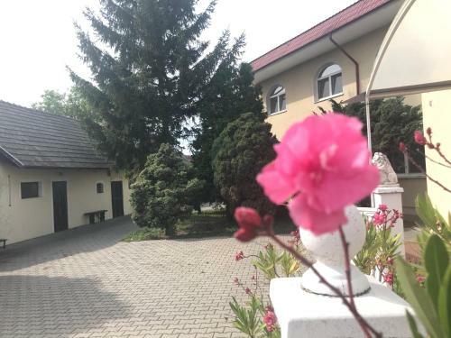 Hostal Pension Europ**