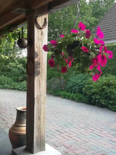 Woodstock B+b