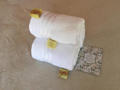 Apartamento Alma Valiente