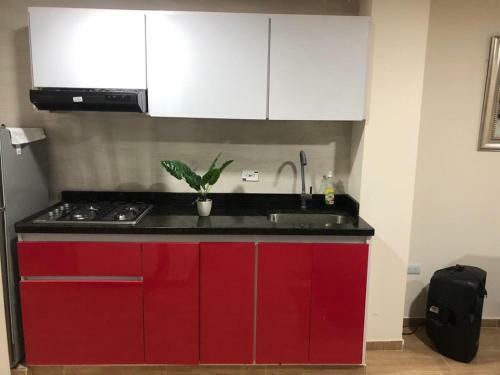 Apartamento Amoblado de 3 Habitaci�n