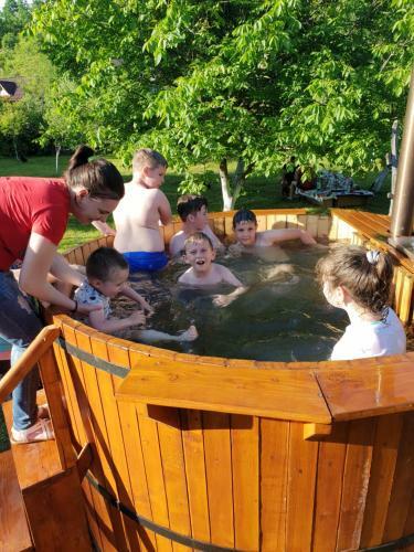 Hostal Pensiunea Ancuta Din Botiza