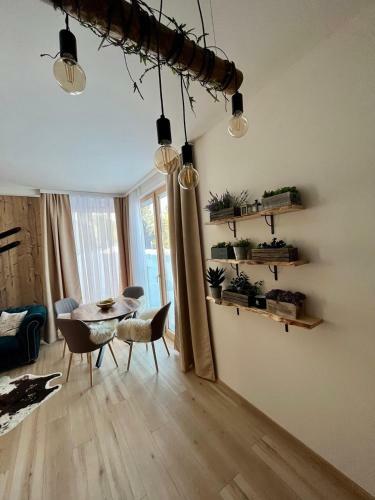 Ski Apartment Hillside