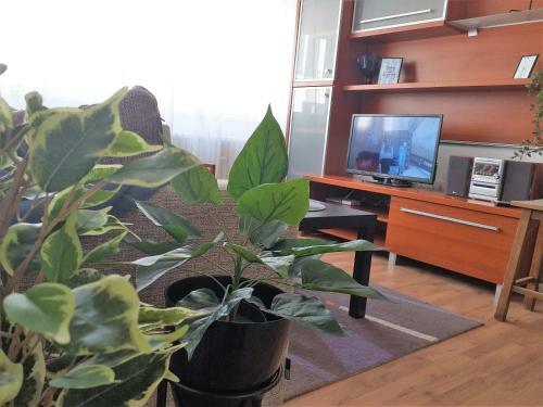 Apartamento Danube Sunrise