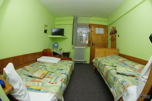 Hostal Pensiunea Irina