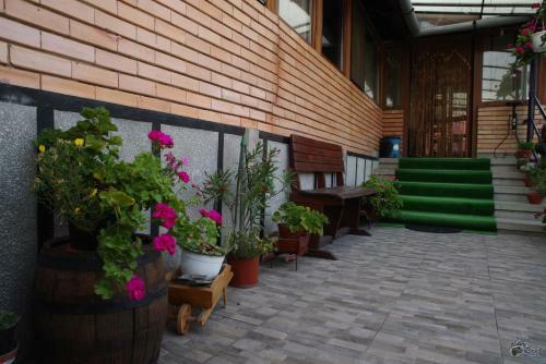 Hostal Pensiunea Irina