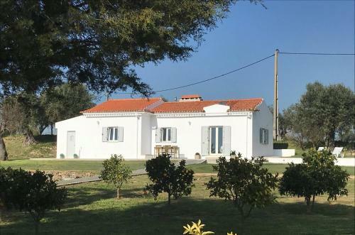 Bed & Breakfast Horta Da Rosa