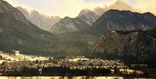 Mountain View Glamping