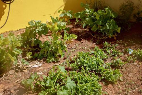 Apartamento Vila Dos Cristais