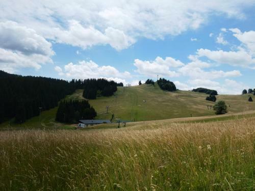 Apartm�nov� Dom Kamz�k Apt. 16