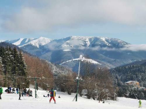 Apartm�n Plesnivec