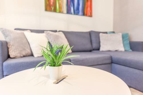Apartment In The Dunes