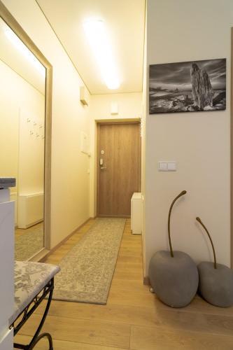 Magic Pines Apartment, By Cohost